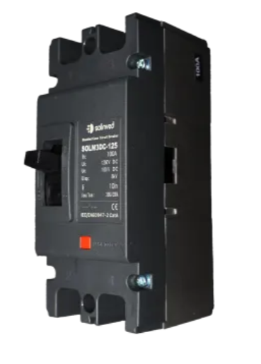 100A DC Şalter